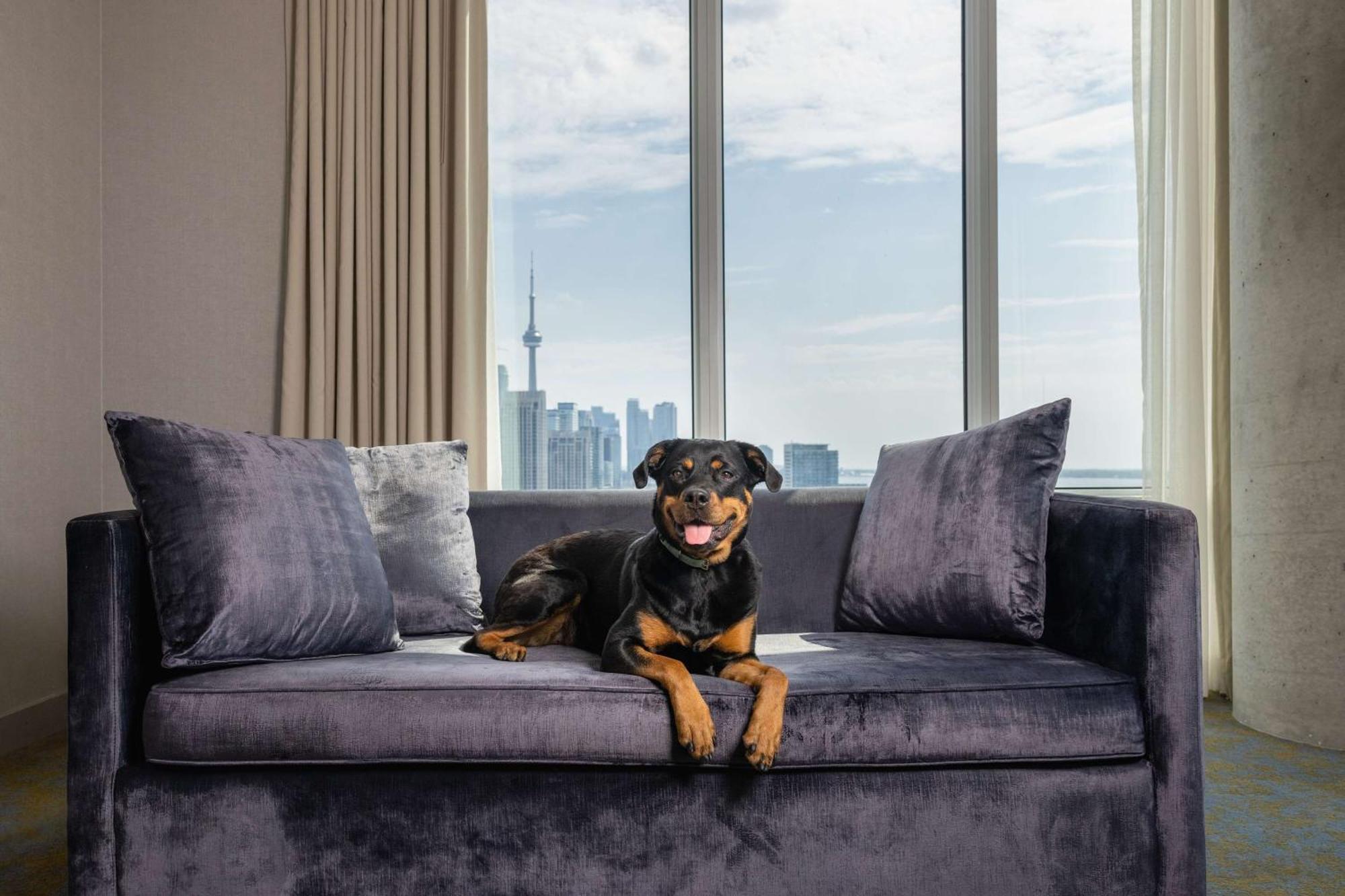 Hotel X Toronto, A Destination By Hyatt Hotel Exterior photo